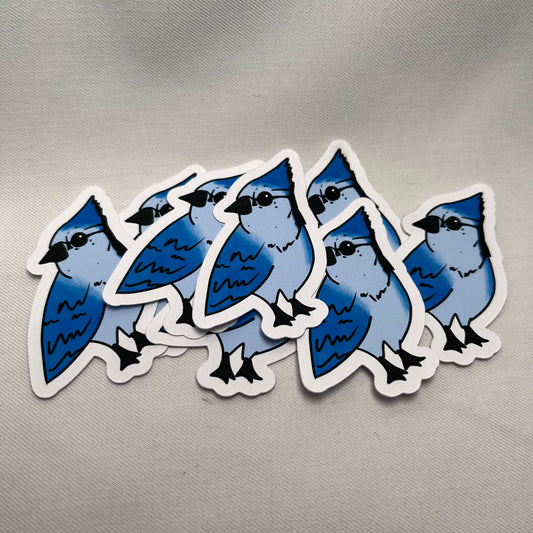 Blue Jay- Sticker