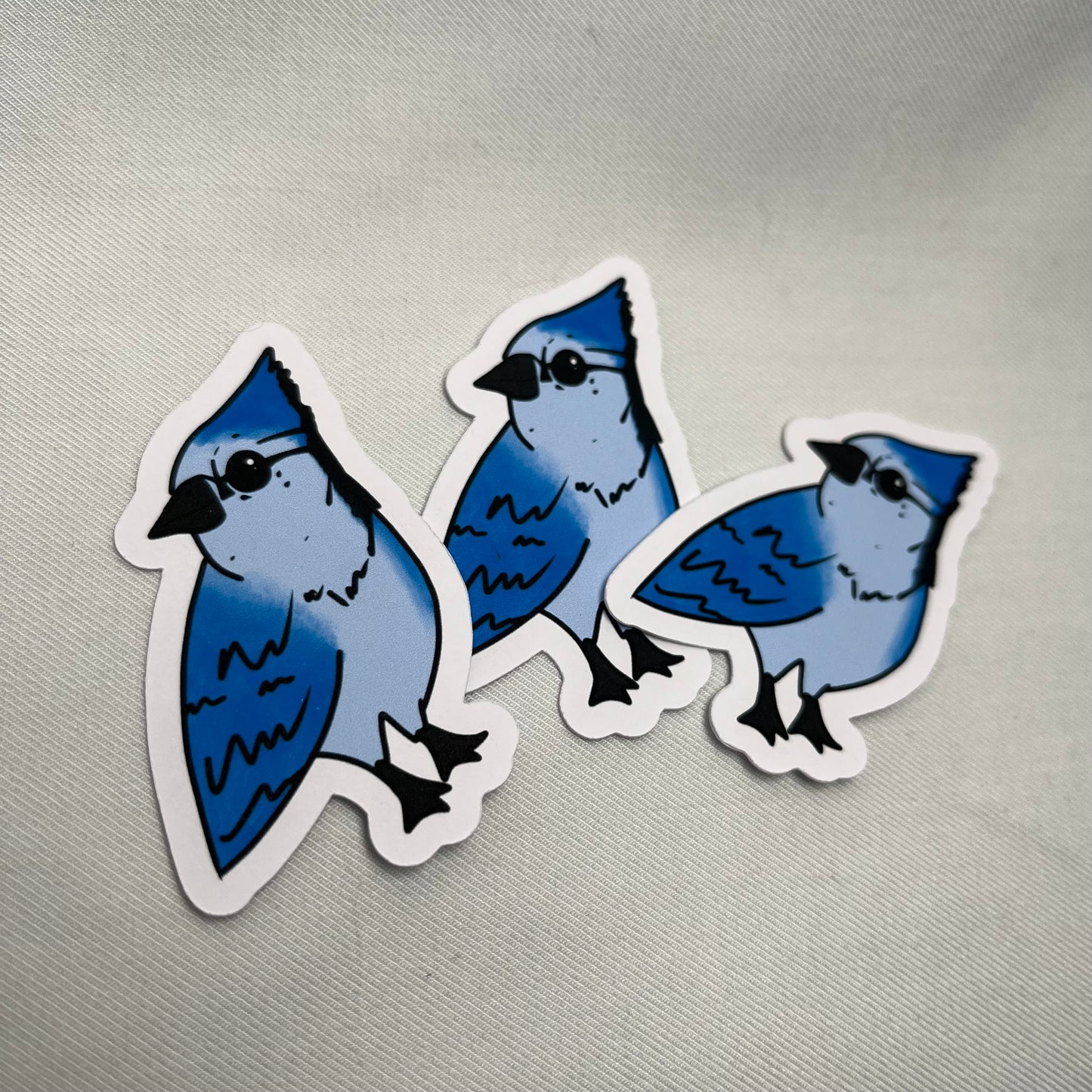 Blue Jay- Sticker